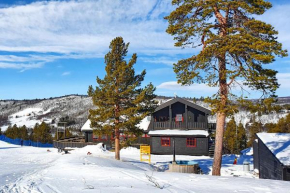 Active Adventure Base - Apartment & Lavvo, Dagali Fjellpark